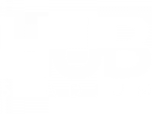 The Hub Stadium & Restaurant, Novi logo top